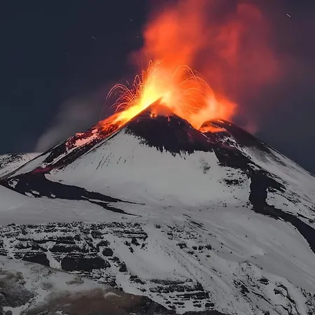 Maison Pitta' 23 公寓 卡塔尼亚